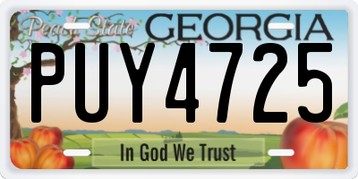 GA license plate PUY4725