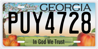 GA license plate PUY4728