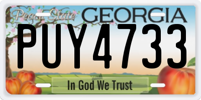 GA license plate PUY4733