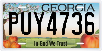GA license plate PUY4736