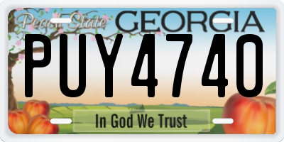 GA license plate PUY4740