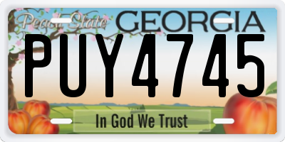 GA license plate PUY4745