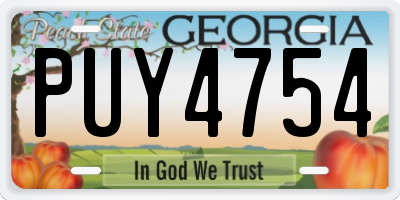 GA license plate PUY4754