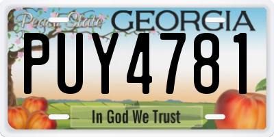 GA license plate PUY4781