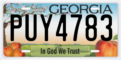 GA license plate PUY4783