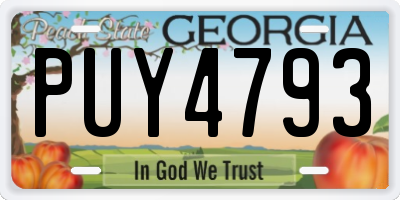 GA license plate PUY4793