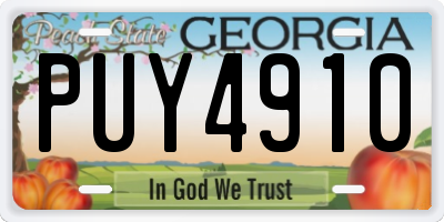 GA license plate PUY4910