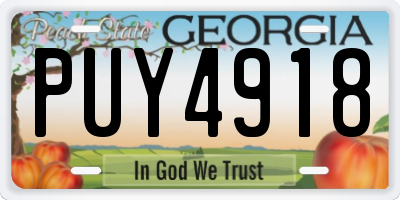 GA license plate PUY4918