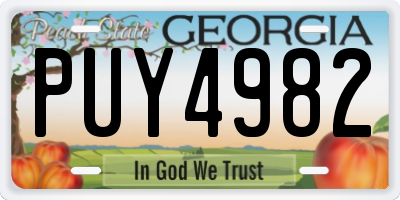 GA license plate PUY4982