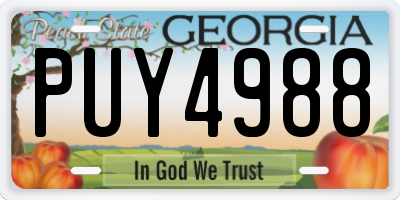 GA license plate PUY4988