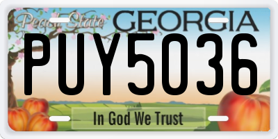 GA license plate PUY5036