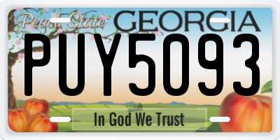 GA license plate PUY5093