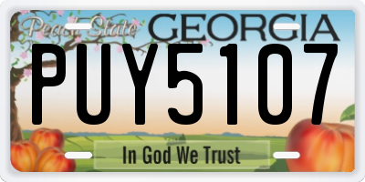 GA license plate PUY5107