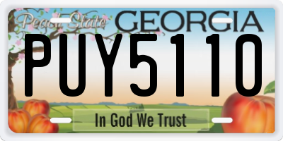 GA license plate PUY5110