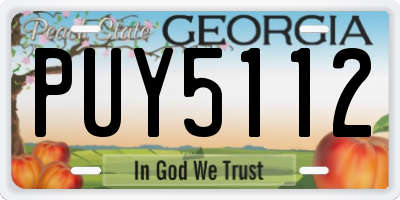 GA license plate PUY5112