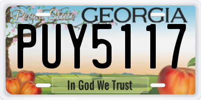 GA license plate PUY5117