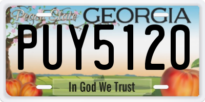 GA license plate PUY5120
