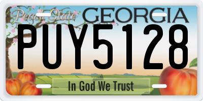 GA license plate PUY5128