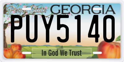 GA license plate PUY5140