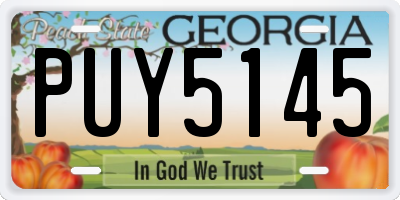 GA license plate PUY5145
