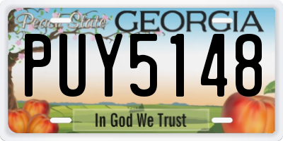 GA license plate PUY5148