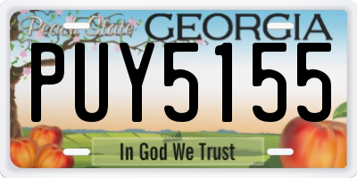 GA license plate PUY5155