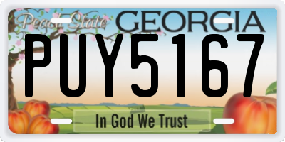 GA license plate PUY5167