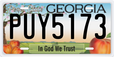 GA license plate PUY5173