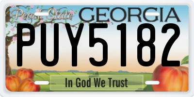 GA license plate PUY5182