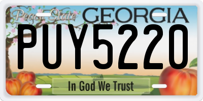 GA license plate PUY5220