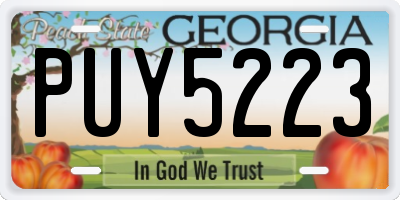 GA license plate PUY5223