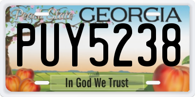 GA license plate PUY5238