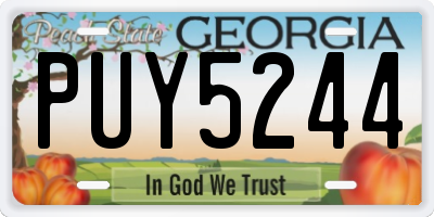 GA license plate PUY5244