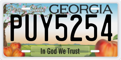 GA license plate PUY5254