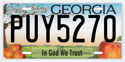 GA license plate PUY5270