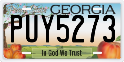 GA license plate PUY5273
