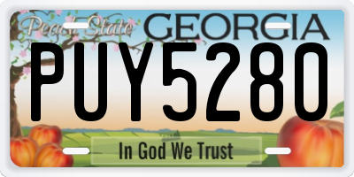 GA license plate PUY5280