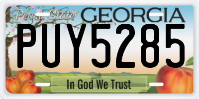 GA license plate PUY5285
