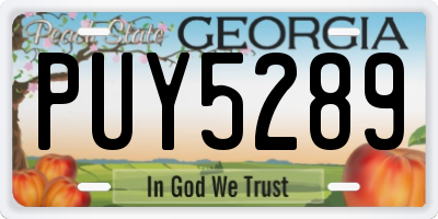 GA license plate PUY5289