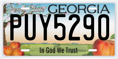 GA license plate PUY5290