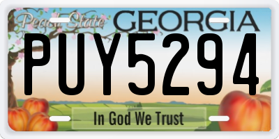 GA license plate PUY5294