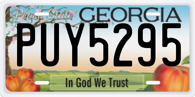 GA license plate PUY5295