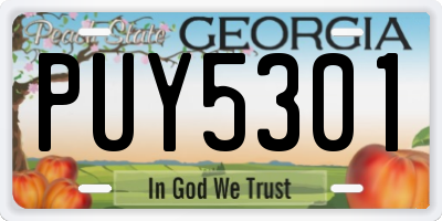 GA license plate PUY5301