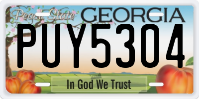 GA license plate PUY5304