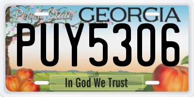 GA license plate PUY5306
