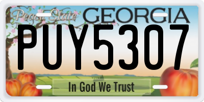 GA license plate PUY5307