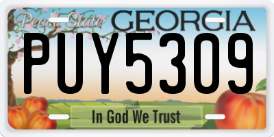 GA license plate PUY5309