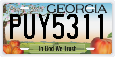 GA license plate PUY5311