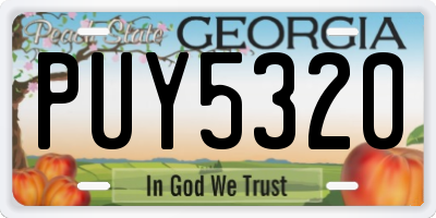 GA license plate PUY5320