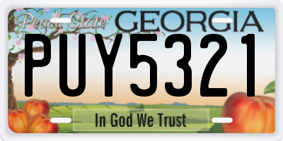 GA license plate PUY5321